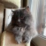 Maria's profile picture