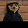 Meeki's profile picture