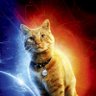 Кіт Гуся (флеркен) 2.0 profil fotoğrafı