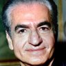 هانی پانی's profile picture