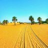 Фото профиля Abdullah Zeyada