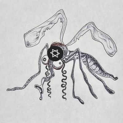 QLexPipiens's profile picture