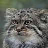 Catcel's profile picture