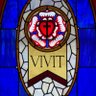 VIVIT 的头像