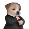 Sindicato de Memes's profile picture