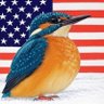 Фото профиля King Fisher 🇺🇸