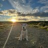 Lopezcc profil fotoğrafı