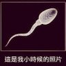 Profilbild von 夢遺落在草原上