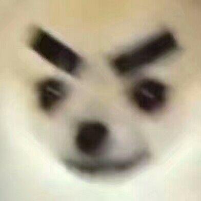 小黑's profile picture