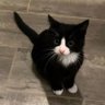 Profilbild von Baby Q