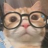 5kmmmmm's profile picture