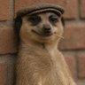 Profilbild von EnKhay
