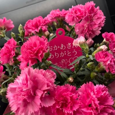 男の情報's profile picture
