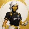 HavoK StaliX23 的头像