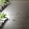زیرنُت مه's profile picture