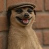 CABENITO's profile picture