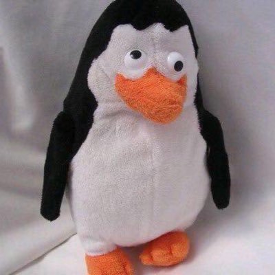 싹………….'s profile picture