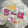 ちーは's profile picture