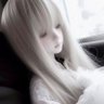 鸽子's profile picture