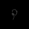 Manuel's profile picture