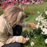 よっしーのたまご profil fotoğrafı