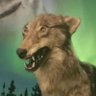 a retarded wolf 🇺🇸's profile picture