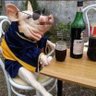 Bopo's profile picture