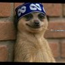 Profilbild von Lucious