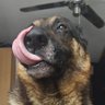 Arjan Verhagen's profile picture