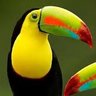 NiceDay's profile picture