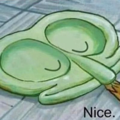 donnobella's profile picture
