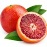 پرتقال خونی🍊 的头像