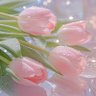 Profilbild von يُونَا🌷
