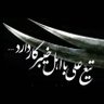 Фото профиля Amir Sh