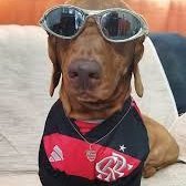 lukassss's profile picture
