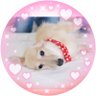 Larc's profile picture