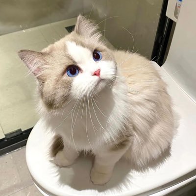 81ouj's profile picture