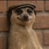 Profilbild von badboytinz
