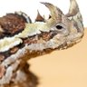 arjast profil fotoğrafı