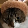 Profilbild von マギー