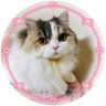 Фото профиля ゆぅにゃんパリ🐒🦫🐤6/28ツレ伝