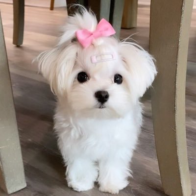 𝐏𝐈 𝐒𝐄𝐘✩彡's profile picture