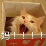 源 的头像