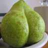 BigButtPear PHD MD 110 IQ 5'10" BMI: 18.5 profil fotoğrafı