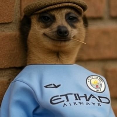 Zeeps_City's profile picture