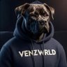 Profilbild von VenzWRLD 📊