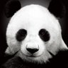 紅PANDA's profile picture