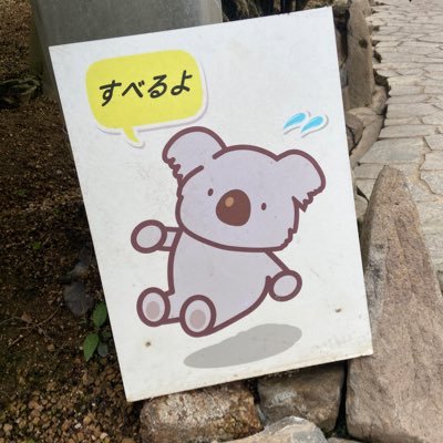 91Apricot's profile picture