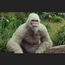 Tom Mcqueen's profile picture