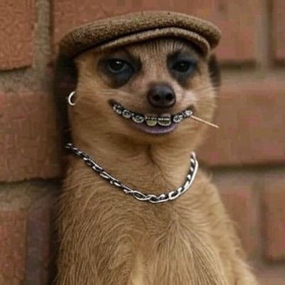 KathyaStrecy's profile picture